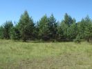 Продам участок с/х назначения (2 фотографии)